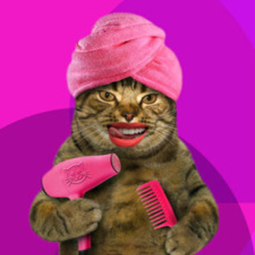 MiaowTalk app
