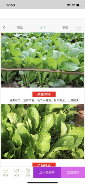 马上买菜 马上买菜