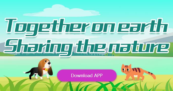 PET��������׬Ǯapp