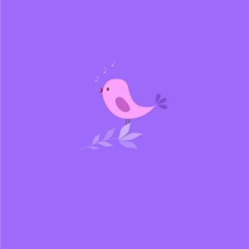 һ�ε�����