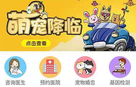 �۳�app
