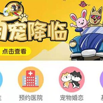 �۳�app