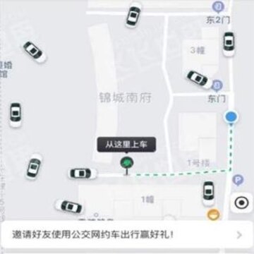 ������Լ��app
