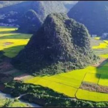 大蜂旅游 大蜂旅游