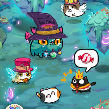 名贵猫咪 名贵猫咪