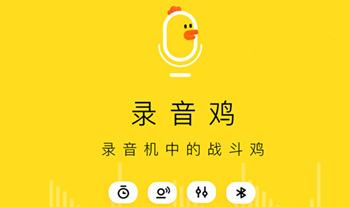 ¼����app