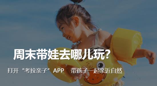 ��������app����