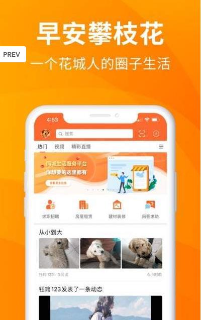 �簲��֦������app