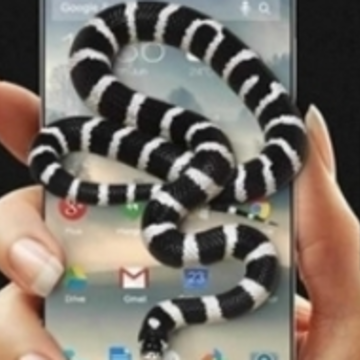 ���ߴ���app