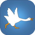 Goose(����������ƽ��)v1.0.0 ��׿��