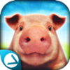 PigSimulator(����ģ�������İ�)v1.01 ��׿��