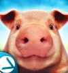 PigSimulator(ģ֮һ)v1.01 ׿