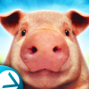 PigSimulator(����ģ����֮����һ��)v1.01 ��׿��