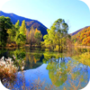 ������appv1.1.0 ���°�