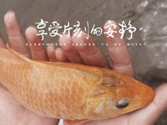 �����־���ĸ���ǩ�� �������˵�qqǩ��