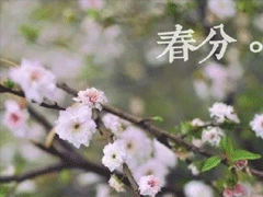 �ʺϴ��ֽ�����˵˵��ȫ ����΢��˵˵���һ�仰2020