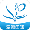 ��ޱ����appv1.0 ��׿��