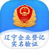 ������ҵ�Ǽ�ʵ����֤appv1.1 ���°�