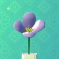 �����廨v0.5.6 ��׿��