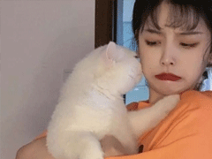 ����Ȧɳ��ɰ��İ� ���е���������û����ը