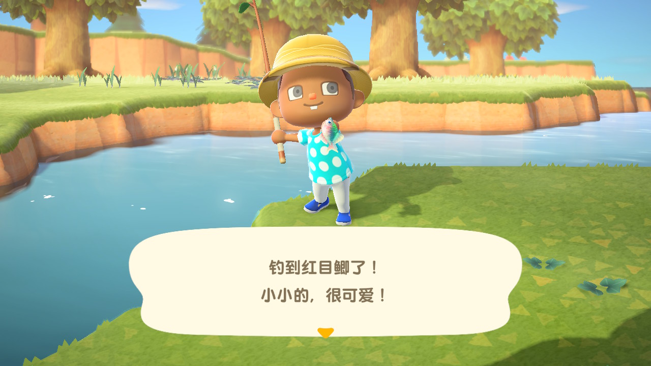 ����������ɭ�ѻ�switch�������ⰲװ��