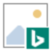 BingSnapv2.4 �ٷ���
