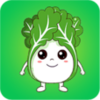 �ʲ˷�v00.00.1 ��׿��
