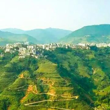 LC绿色春天 LC绿色春天