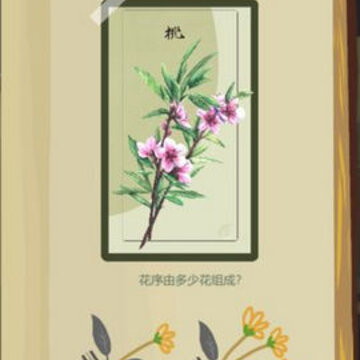 老农种树破解版 老农种树破解版
