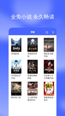 ������С˵app