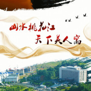 掌上桃江 掌上桃江