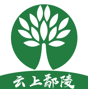 ����۳��app