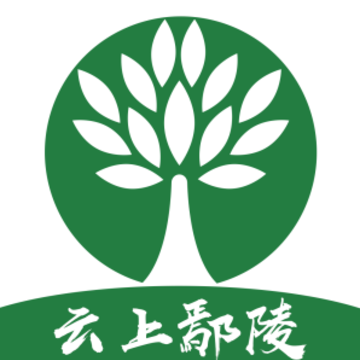 ����۳��app