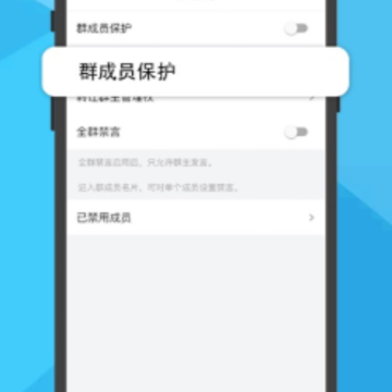 ˵��app