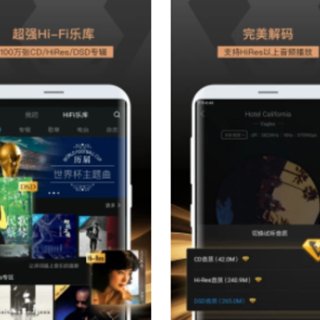 VIPER HiFi app
