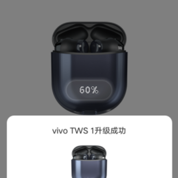 vivo TWS����app
