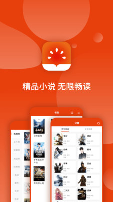 ����ެ��С˵app