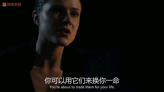 阿哥美剧去广告版 阿哥美剧去广告版