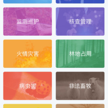 ����Ѳ��app