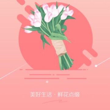 �������ʻ�����