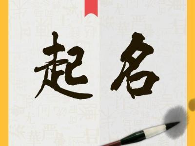 IM电子起名APP IM电子起名APP