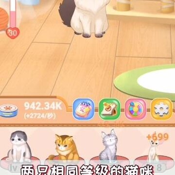 猫多多 猫多多