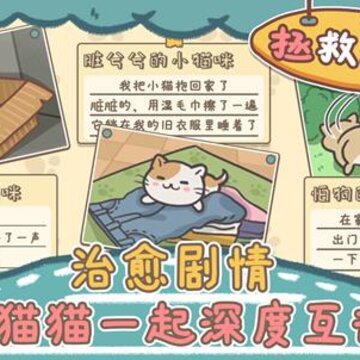 拯救猫猫 拯救猫猫