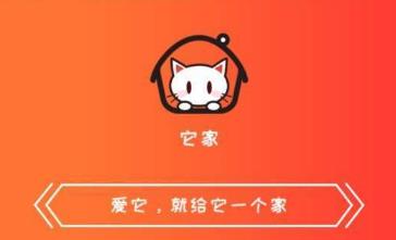 ����app(��������)
