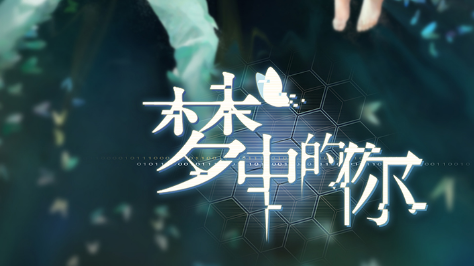 梦中的你游戏 梦中的你游戏