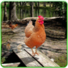 Hen Family Simulator(��ģ����)v2.0 ��׿��