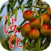 ����մ��v1.0.2 ��׿��