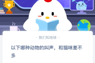 �������ֶ���Ľ�������è����