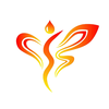 �������appv3.1 ���°�