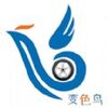 ��ɫ������appv1.3 �ٷ���